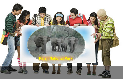 Group Tour packages national park