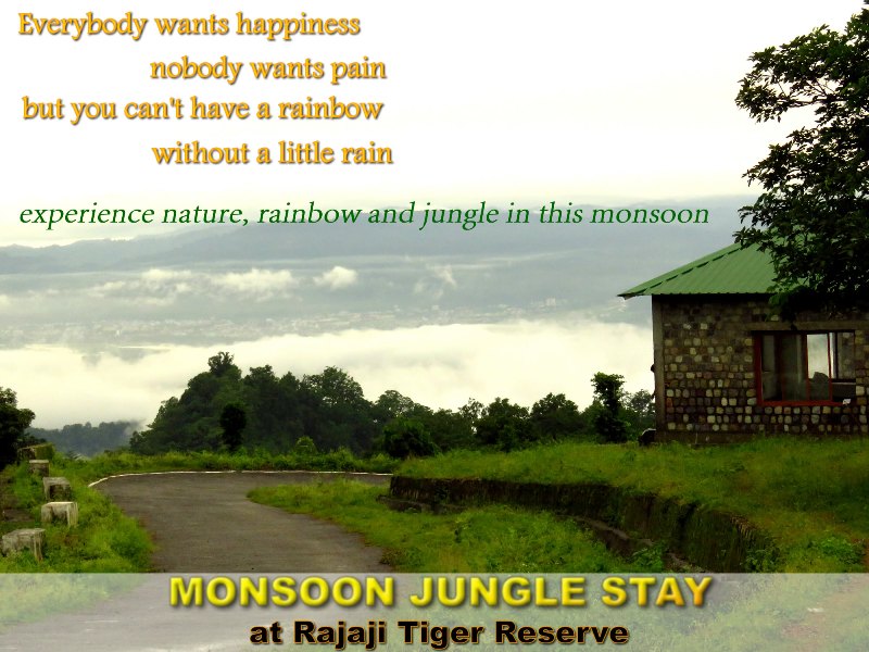 Wildlife tour at Rajaji Tiger Reserve in the Monsoon