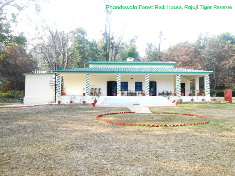 Phandowala FRH Rajaji Tiger Reserve