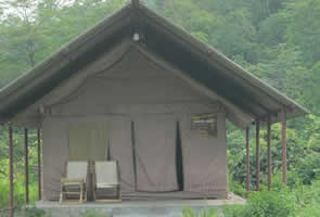 Vindhyavasini 	Cottage