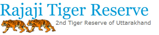 Rajaji Tiger Reserve Haridwar